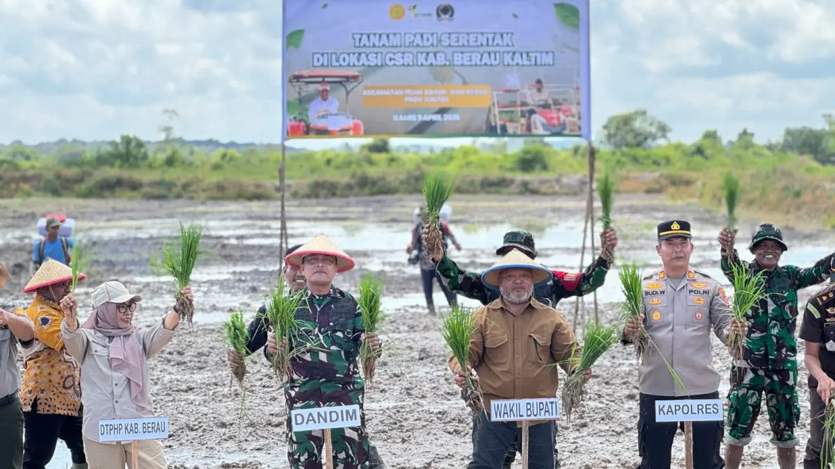 CETAK SAWAH: Tanam perdana program cetak sawah rakyat seluas 425 hektare dalam mendukung produksi beras lokal dan ketahanan pangan. (SENO/BP)