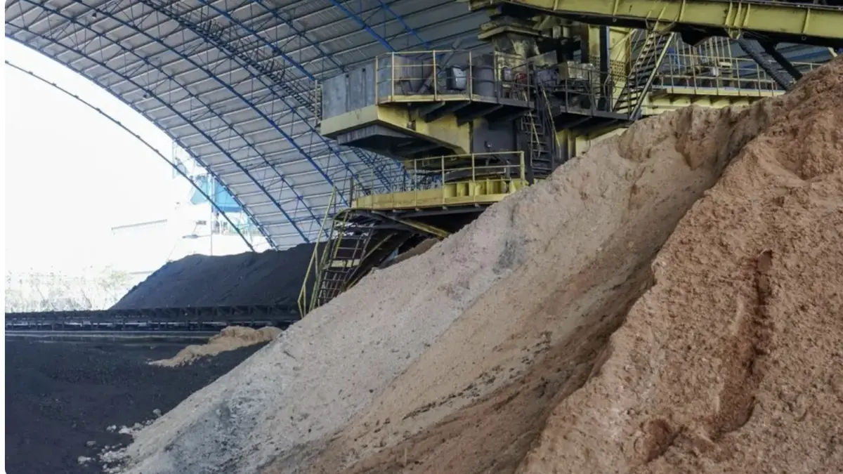 Biomassa Jenis Serbuk Gergaji ( Sawdust ) di PLTU Bengkayang Kalimantan Barat. (dok. PLN EPI)