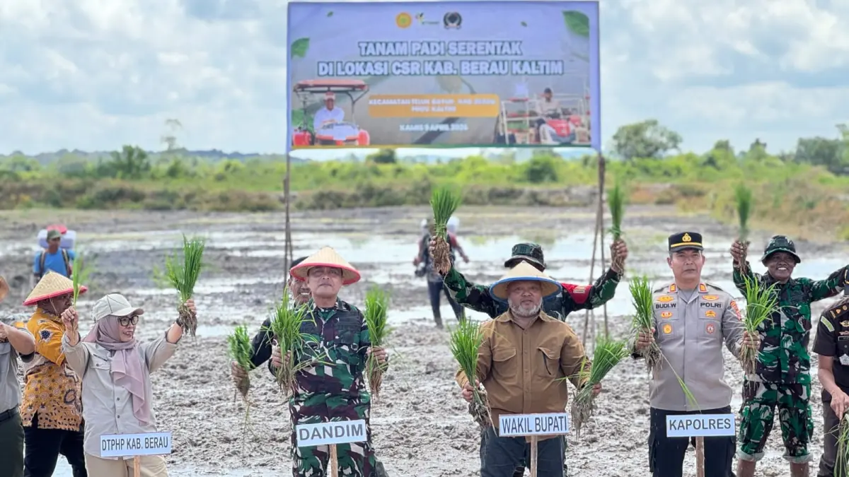 POTENSI BESAR: Berau dengan luas wilayah yang besar menjadikannya punya peluang dalam pengembangan sektor pertanian, khususnya sawah dan jagung. (SENO/BP)