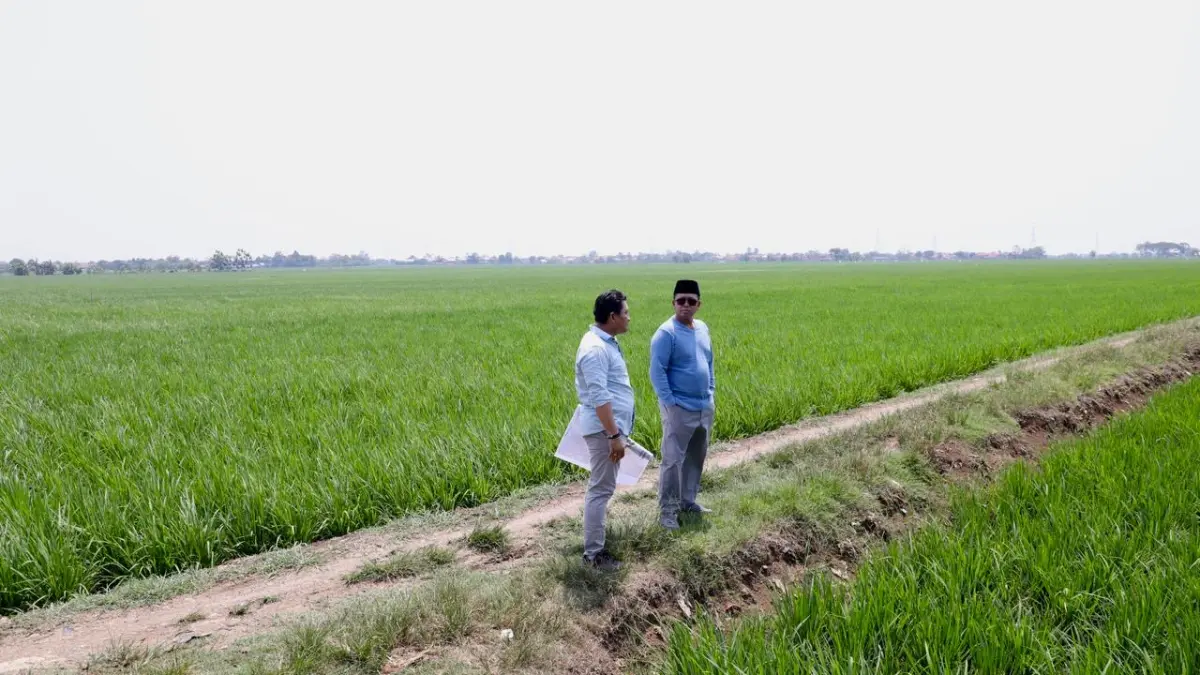 Menteri ATR/Kepala BPN, Nusron Wahid, meninjau langsung lokasi rencana alih fungsi lahan sawah untuk kawasan industri di Kabupaten Indramayu, Minggu (19/04/2026).