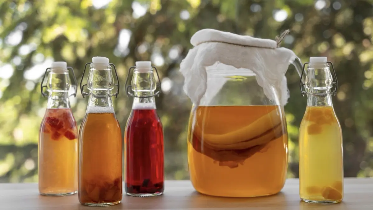 Ilustrasi jamur kombucha. (Freepik)