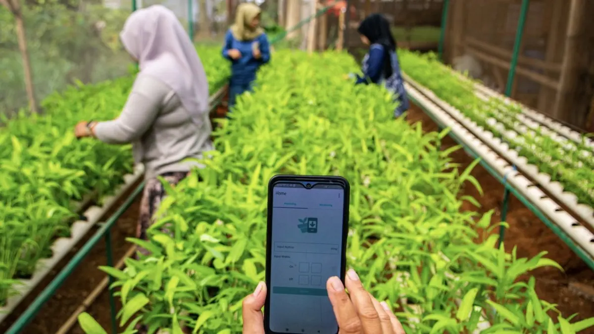 MEMUDAHKAN: Kelompok Tani Wanita menggunakan aplikasi Smartfarming dalam bercocok tanam. (NOVRIAN ARBI)