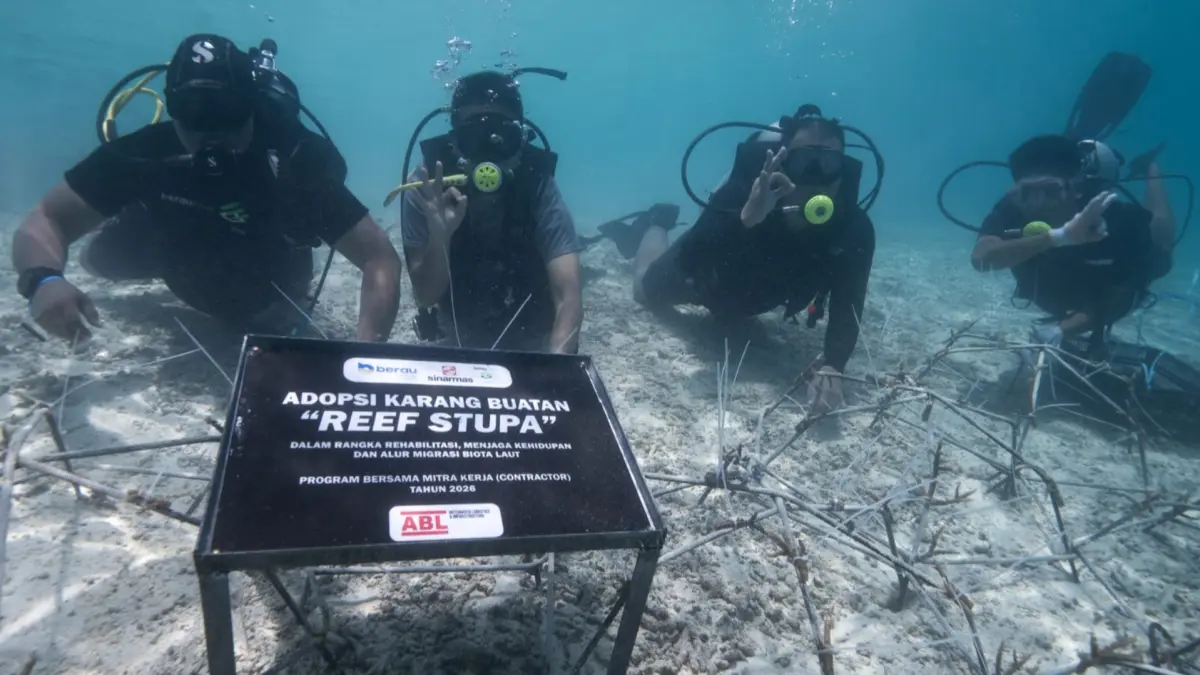 MENYELAM BERSAMA: Peserta peletakan reef stupa melaksanakan penyelaman bersama dengan pengawasan untuk meletakan reef stupa di dasar laut wilayah Kampung Payung-Payung. (PT BERAU COAL UNTUK BP)