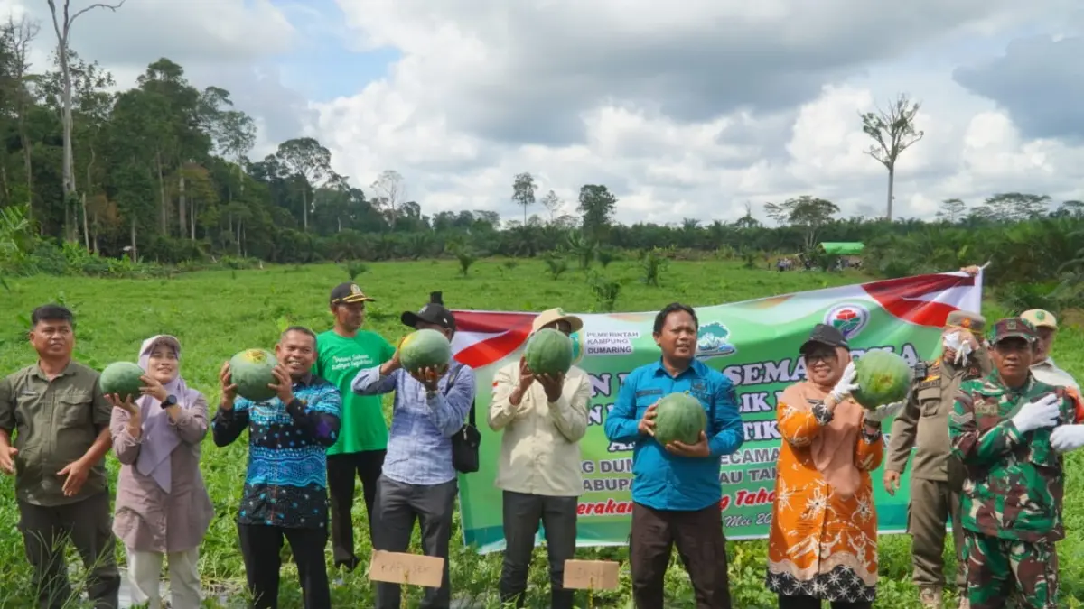 PANEN RAYA: Kampung Dumaring Kecamatan Talisayan berhasil memanen semangka sebanyak 20 ton dari lahan tidur seluas 1,5 hektare tahun ini. (PROKOPIM UNTUK BERAU POST)