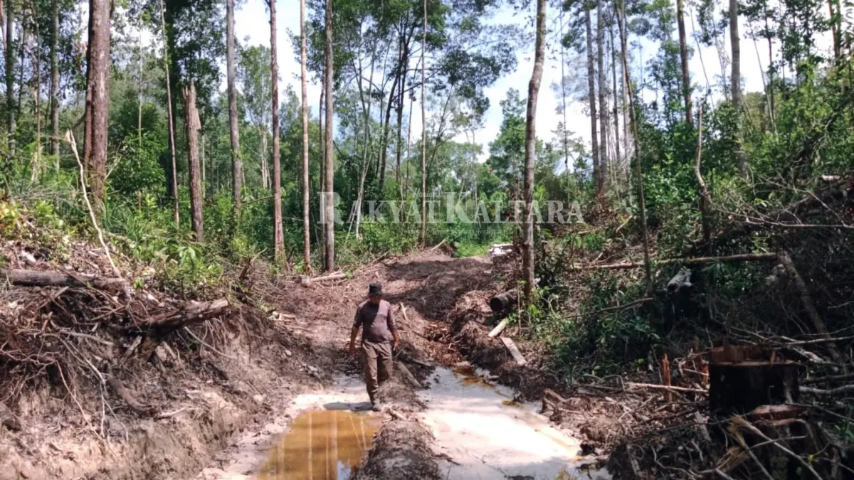 CEGAH KARHUTLA: Dishut Kaltara mengimbau masyarakat maupun perusahaan untuk tidak membuka lahan dengan cara membakar tanpa pengawasan. (HRK)
