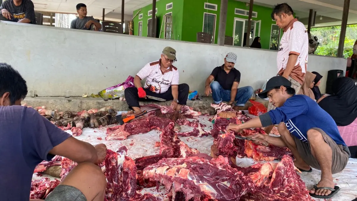 SEMANGAT QURBAN: Pengurus Masjid Jami Al Mujaahadah dan Majelis Taklim Husnul Khotimah saat menyembelih 12 ekor sapi qurban untuk dibagikan kepada lebih dari 1.300 warga Tanjung Redeb pada Idul Adha 1447 H.