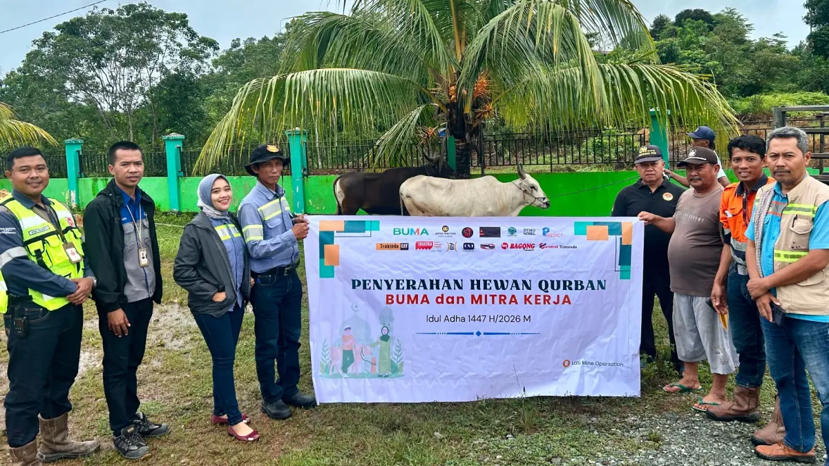 BERKURBAN: PT Bukit Makmur Mandiri Utama menyerahkan beberapa ekor sapi dan kambing saat Iduladha beberapa waktu lalu. (BUMA UNTUK BERAU POST)