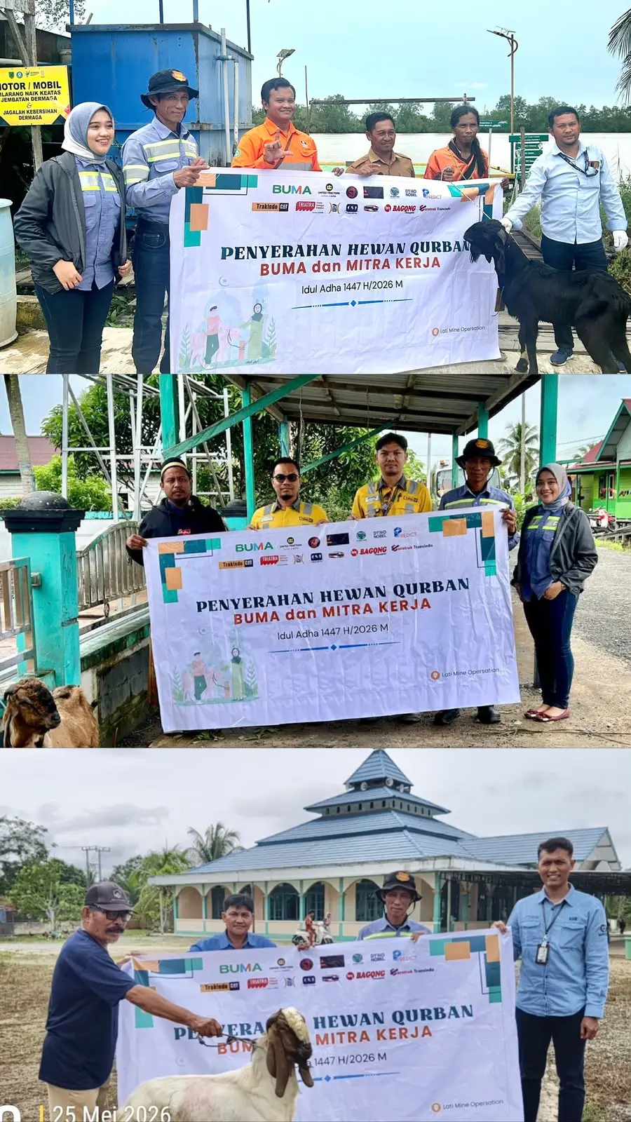 PEDULI: Dalam semangat Iduladha 1447 H, BUMA bersama mitra kerja menyerahkan hewan qurban sebagai wujud rasa syukur, bentuk kepedulian dan kebersamaan kepada masyarakat. Semoga membawa manfaat dan keberkahan bagi semua. (PT BUMA UNTUK BERAU POST)