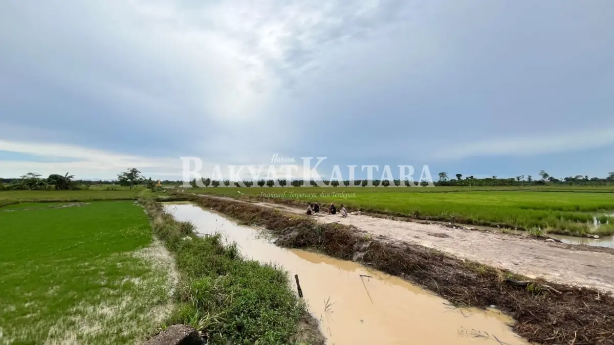 PERTANIAN: Pemerintah menilai kemudahan akses distribusi hasil panen menjadi faktor penting mendukung kemajuan sektor pertanian. (HRK)