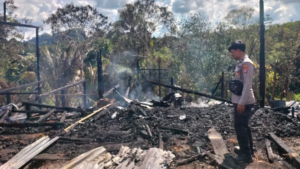 JADI ARANG: Satu unit rumah kosong yang lama tidak ditempati ludes terbakar, Kamis (11/6). (POLRESTA BULUNGAN)