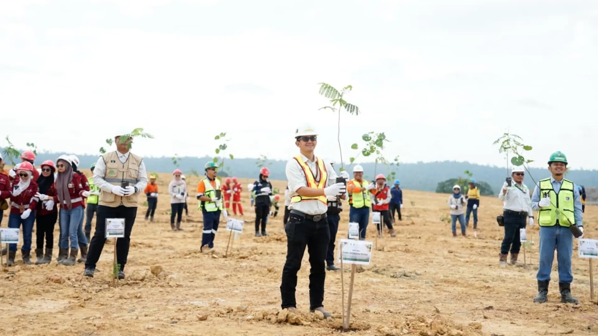 TANAM SERENTAK: Direktur Operasional PT Berau Coal, Arief Widhartono, saat memimpin penanaman serentak ribuan pohon dalam rangka Hari Lingkungan Hidup Sedunia 2026 di Site Gurimbang, Jumat (19/6). (SENO/BP)