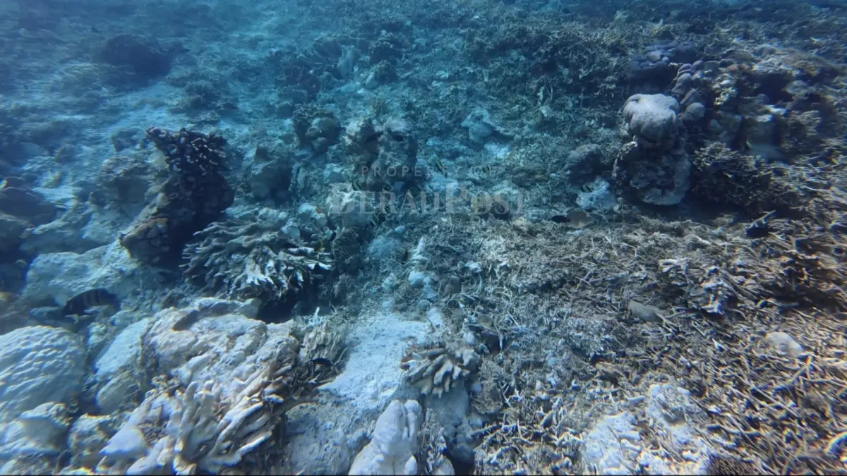 KERUSAKAN TERUMBU KARANG: Asosiasi Resor Maratua memotret kerusakan terumbu karang di kawasan Chanel Point Schooling Baracuda usai dihantam kapal wisata LOB yang kandas pekan lalu. (EENG UNTUK BERAU POST)
