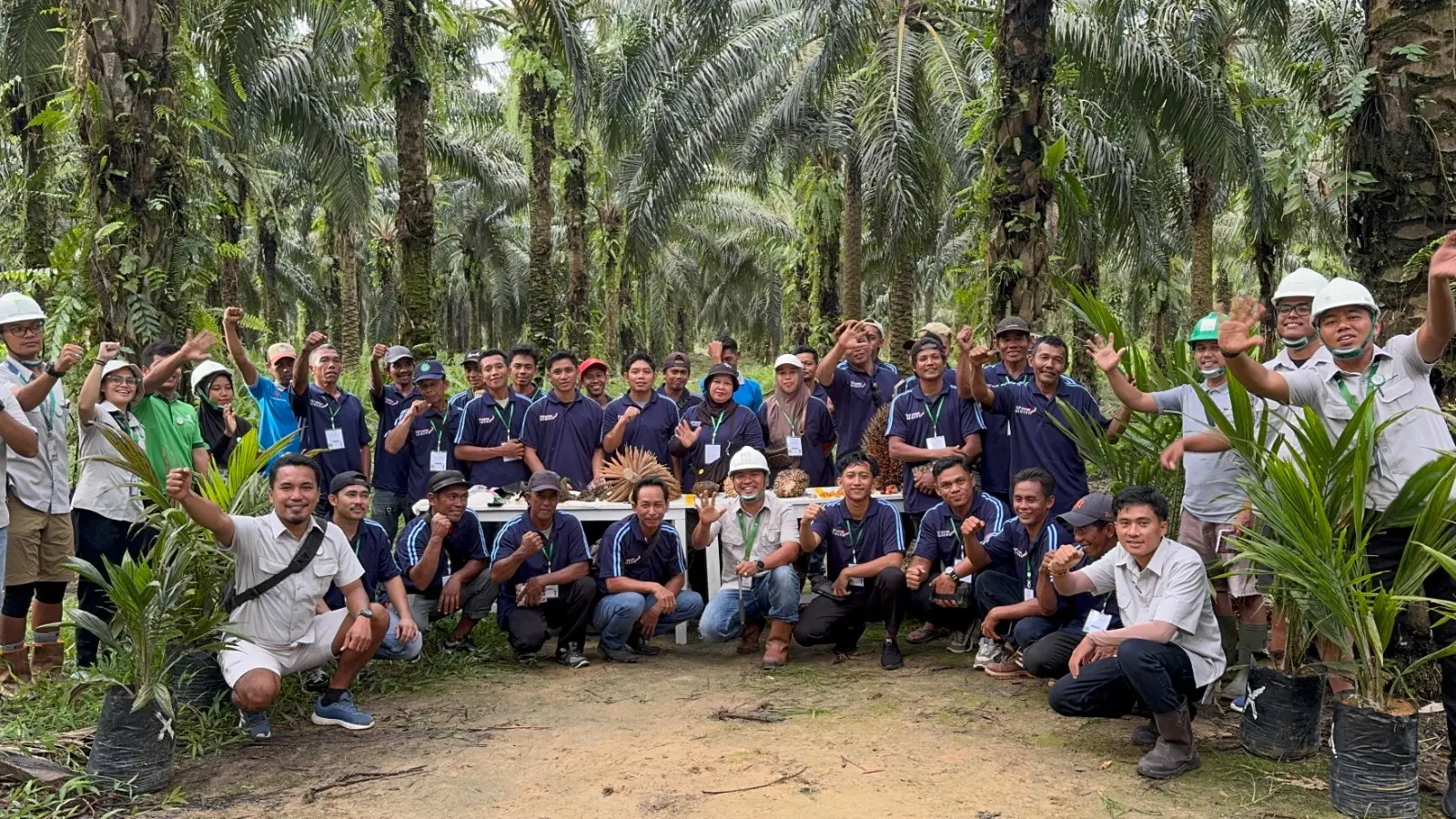 TAK CUMA TEORI: Praktik lapangan menjadi fokus utama dari Pelatihan PERKASA yang digelar PT DLJ agar para peserta memiliki pemahaman sempurna dalam mengelola kebun sawitnya.
