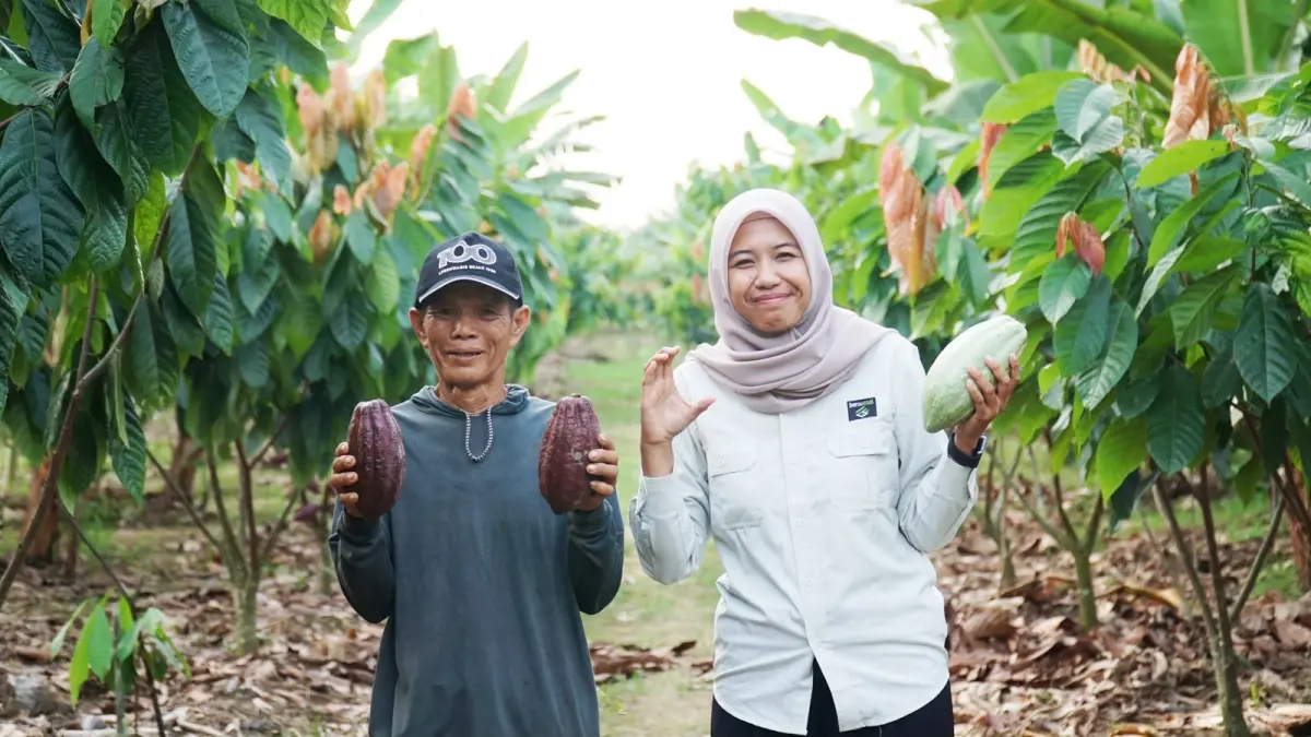OPTIMISTIS: Iriansyah mengembangkan budidaya kakao di lahannya berkat dukungan bibit, sarana produksi, dan pendampingan dari PT Berau Coal. (PT BERAU COAL UNTUK BERAU POST)