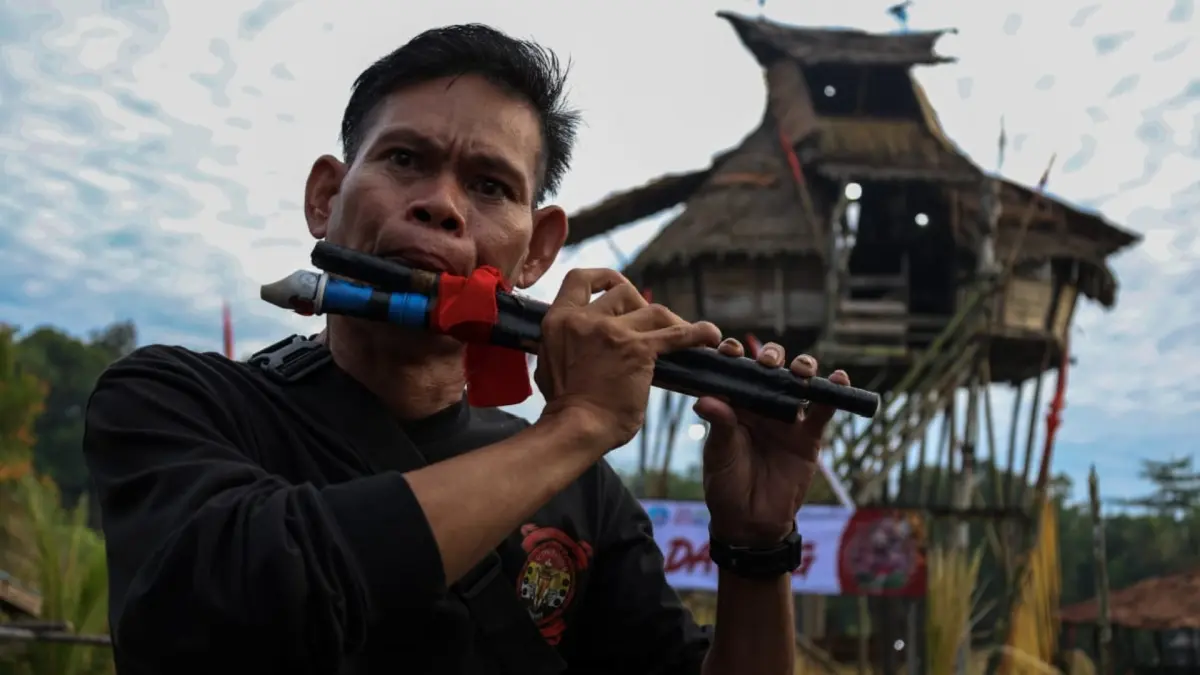 RITUAL: Warga Suku Dayak Bajare Manto memainkan musik di pelataran Rumah Baluk pada hari Gawai Nyobeng atau Nibakng di Dusun Sebujit Baru, Desa Hlibuei, Kecamatan Siding, Kabupaten Bengkayang, Kalimantan Barat.  (ANTARA)
