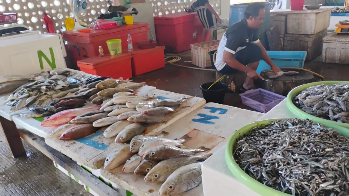ILUSTRASI: Penataan TPI Tanjung Batu diproyeksikan menjadi kawasan wisata bahari yang memadukan perdagangan ikan segar dan kuliner. (IZZA/BP)