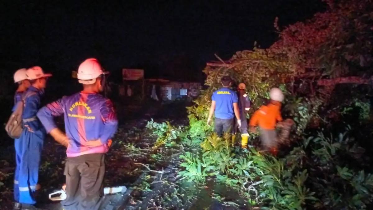 EVAKUASI: Tim gabungan lakukan pemotongan usai pohon tumbang di daerah Juata, Kamis (23/7) malam. (BPBD TARAKAN UNTUK HRK)