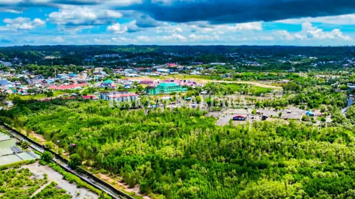 HUTAN MANGROVE: Pemprov Kaltara memperoleh hibah senilai Rp 19,99 miliar melalui Forest Programme VI untuk mendukung program restorasi mangrove. (HRK)
