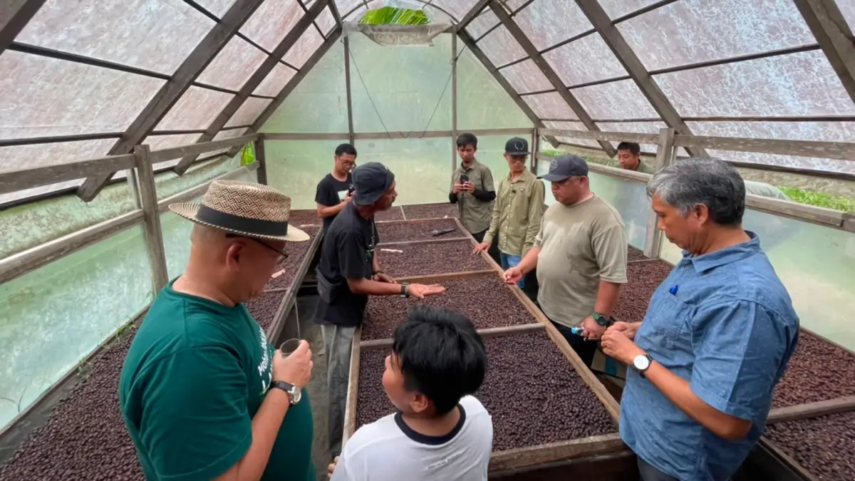 NIKMATI KOPI: Wakil Bupati Berau Gamalis saat meligat biji kopi Liberika di Kampung Sambakungan, Kecamatan Gunung Tabur, Sabtu (25/7). (ARTA KUSUMA YUNANDA/BP)