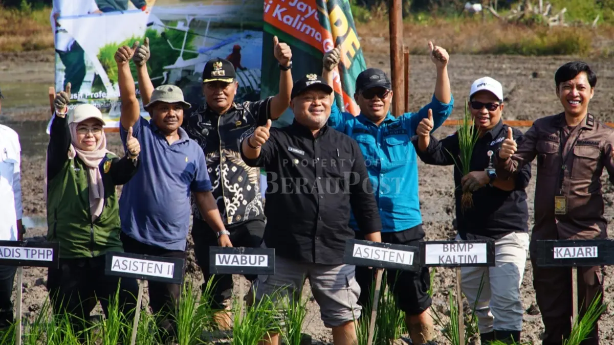 TANAM SEREMPAK: Gerakan tanam padi dilaksanakan di Kampung Melati Jaya, Jumat (31/7), sebagai upaya meningkatkan produktivitas pertanian dan mendukung swasembada pangan. (IZZA/BP)