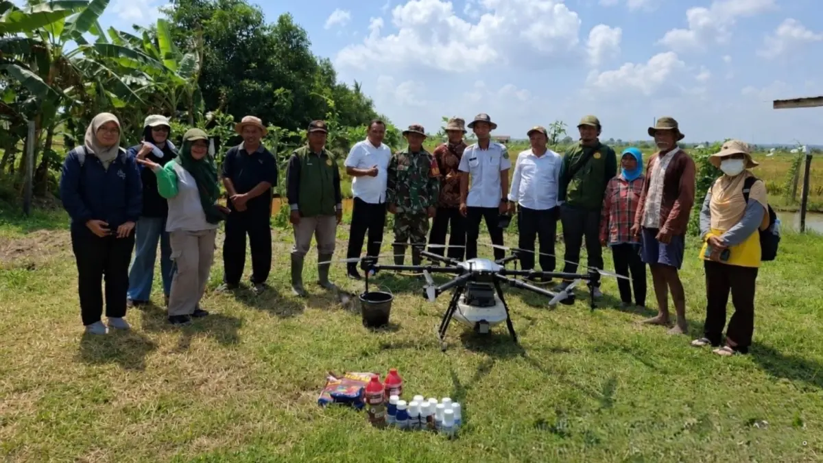 ATASI GANGGUAN: DTPHP Berau kembali menerjunkan tim pengendalian hama untuk mencegah kerugian petani.&nbsp;(DTPHP BERAU UNTUK BERAU POST)
