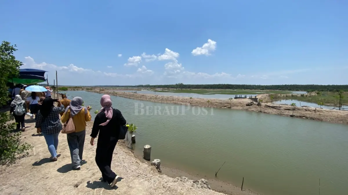 TAMBAK BERKELANJUTAN: Program tambak ramah lingkungan terus dikembangkan Diskan Berau untuk meningkatkan produksi budidaya, sekaligus mempertahankan kondisi mangrove di wilayah pesisir. (IZZA/BP)