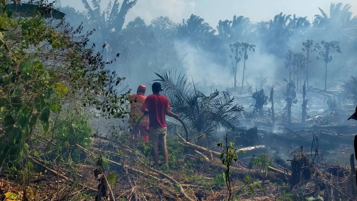 KARHUTLA: Sampai saat ini Disdamkarmat, BPBD, dan tim gabungan masih terus berjibaku dalam memadamkan api karhutla yang terjadi dibeberapa titik di Kabupaten Berau. (DKSDAMKARMAT BERAU UNTUK BERAU POST)