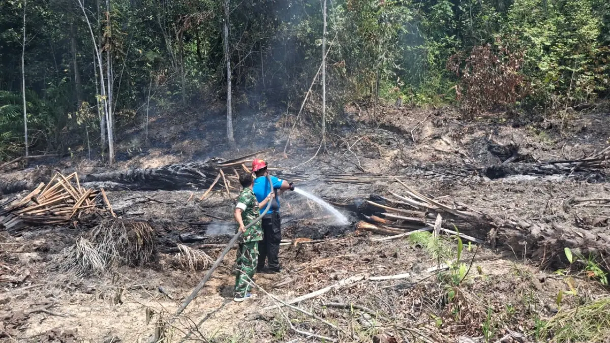 PEMADAMAN: Tim gabungan berusaha memadamkan api yang membakar hutan dan lahan.(BPBD TARAKAN UNTUK HRK)