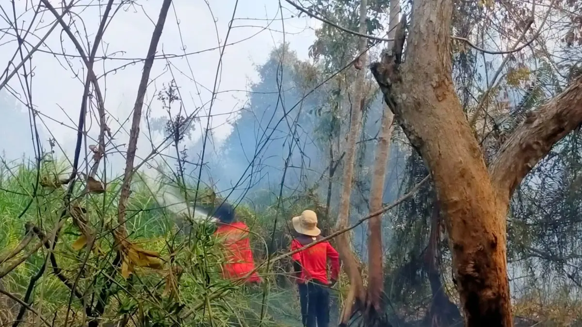 ATASI KARHUTLA: Kebakaran yang melanda wilayah Kalimantan Utara berusaha dipadamkan petugas gabungan. (HRK