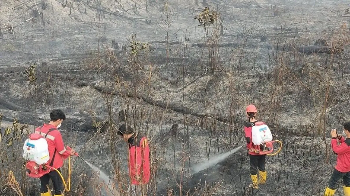 GERAK CEPAT: PT HSB menurunkan sejumlah personel dan peralatan untuk mendukung pengendalian api di KM 22-23 KHDTK Labanan. (SENO/BP)