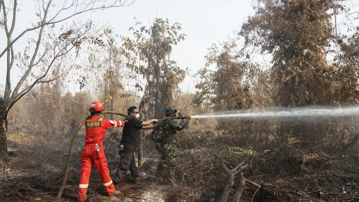 PENANGANAN KARHUTLA: Dalam empat hari terakhir, ERG PT Berau Coal turun langsung bersinergi bersama tim gabungan padamkan Karhutla di sejumlah titik. (SENO/BP)