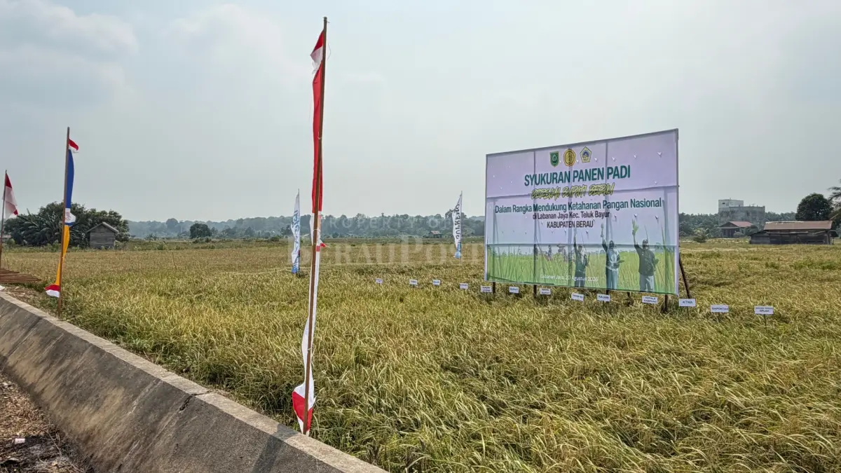 ILUSTRASI: Pemkab Berau memperkuat dukungan sektor pertanian untuk membantu petani menghadapi dampak kekeringan. (IZZA/BP)