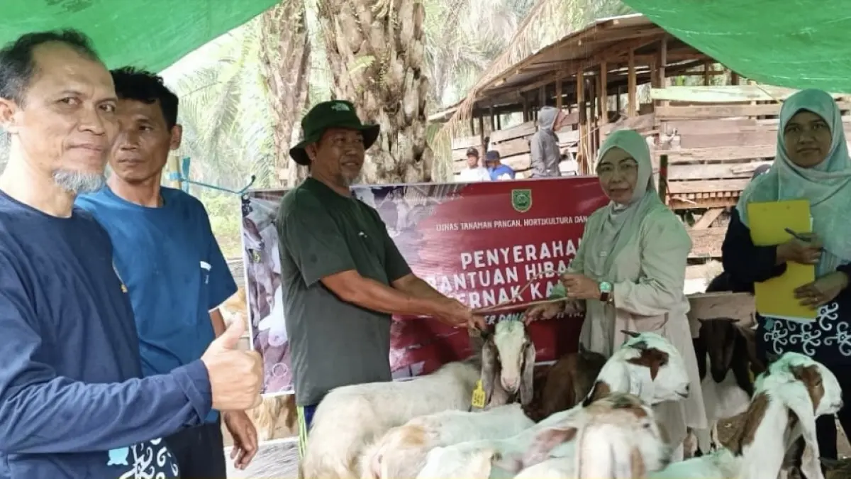 DISALURKAN: Kepala DTPHP Berau Lita Handini menyalurkan program bantuan hibah bibit ternak yang bersumber dari APBD II Kabupaten Berau Tahun Anggaran 2026. (DTPHP BERAU UNTU BERAU POST)