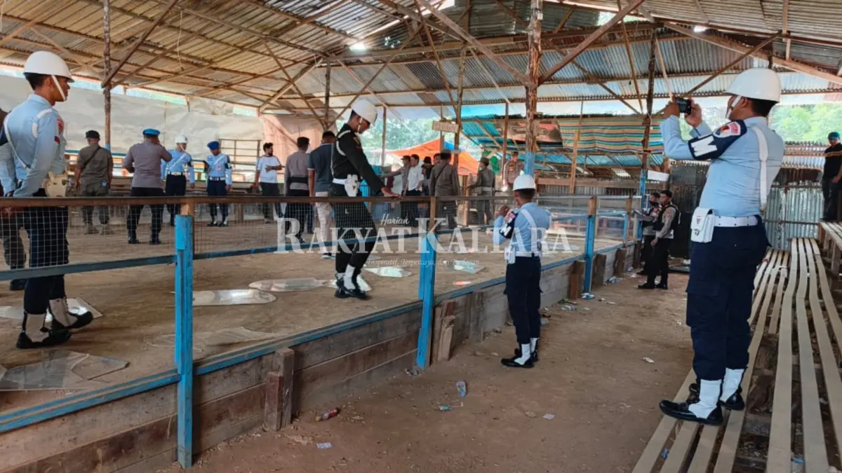 DIBONGKAR PETUGAS: Tim gabungan kembali mendatangi arena judi sabung ayam di Juata Laut, Minggu (23/8) lalu. (POLRES TARAKAN UNTUK HRK)