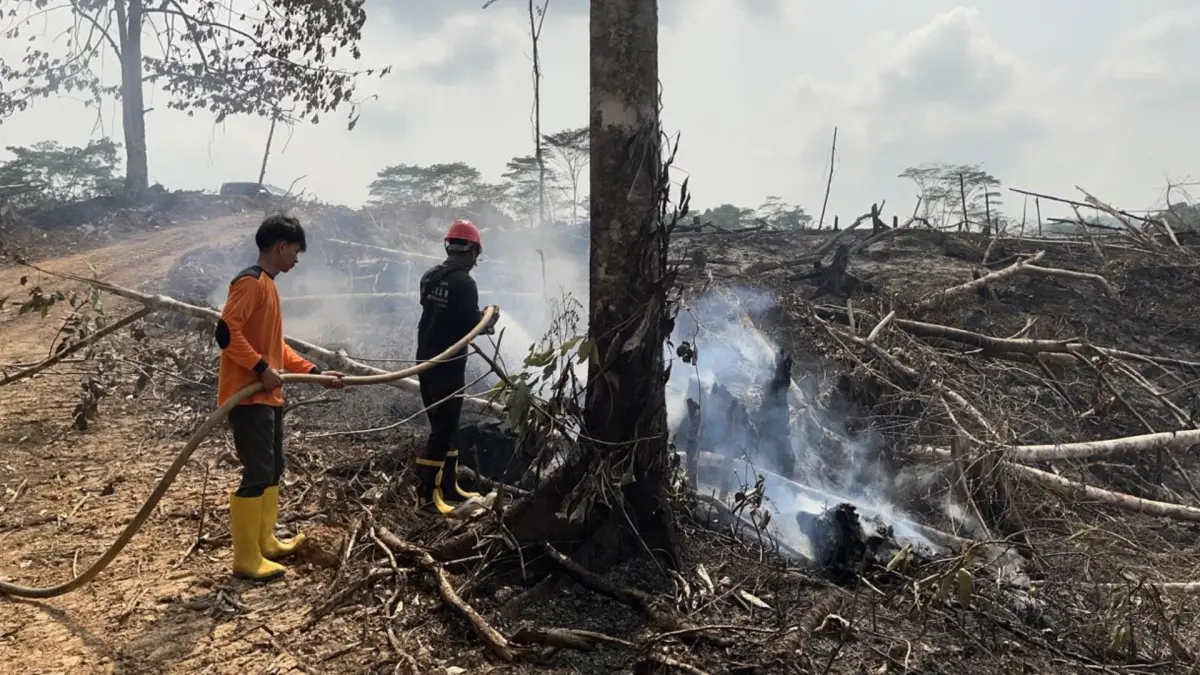 PADAMKAN API: Hutan lindung di Tarakan turut terdampak kebakaran. (UPTD KPH TARAKAN UNTUK HRK)
