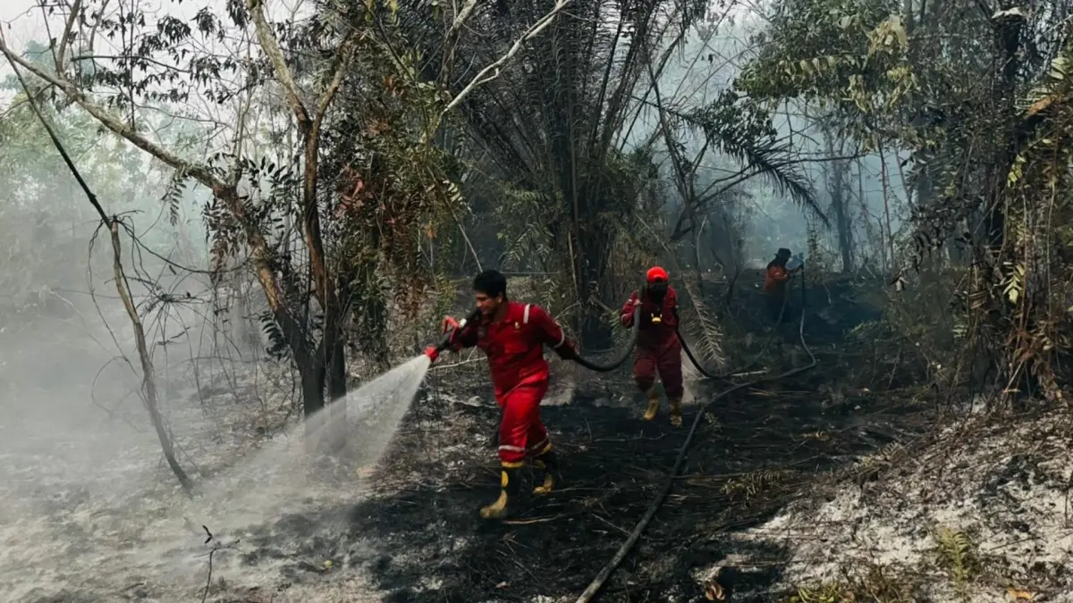 SEBABKAN KABUT: Petugas pemadam kebakaran berusaha menangani karhutla yang terjadi di Kecamatan Tanjung Palas Timur, Kabupaten Bulungan. (BPBD KALTARA)