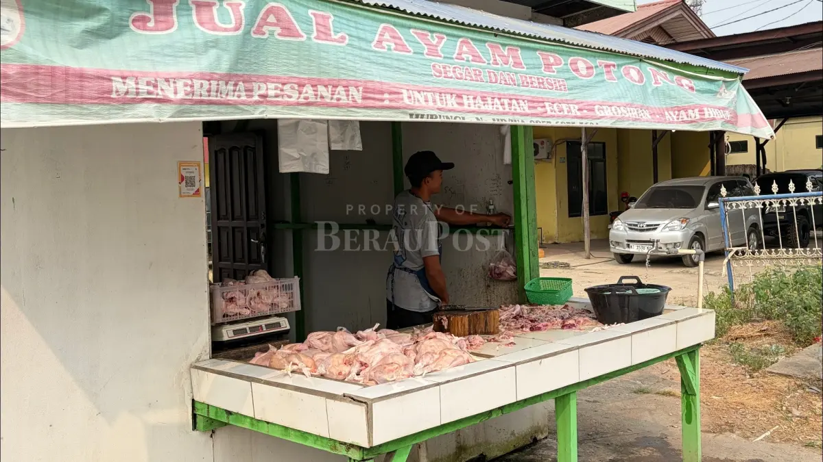HARGA NAIK: Harga ayam potong kini dijual Rp 39 ribu per kg, di atas harga normal Rp 30-32 ribu per kg. (IZZA/BP)