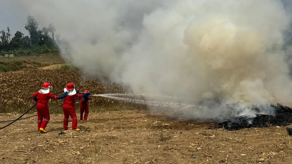 PEMADAMAN: Tim Karhutla TAP Grup berupaya memadamkan kobaran si jago merah di ladang salah satu lahan di luar konsesi perusahaan. (BERAU POST)