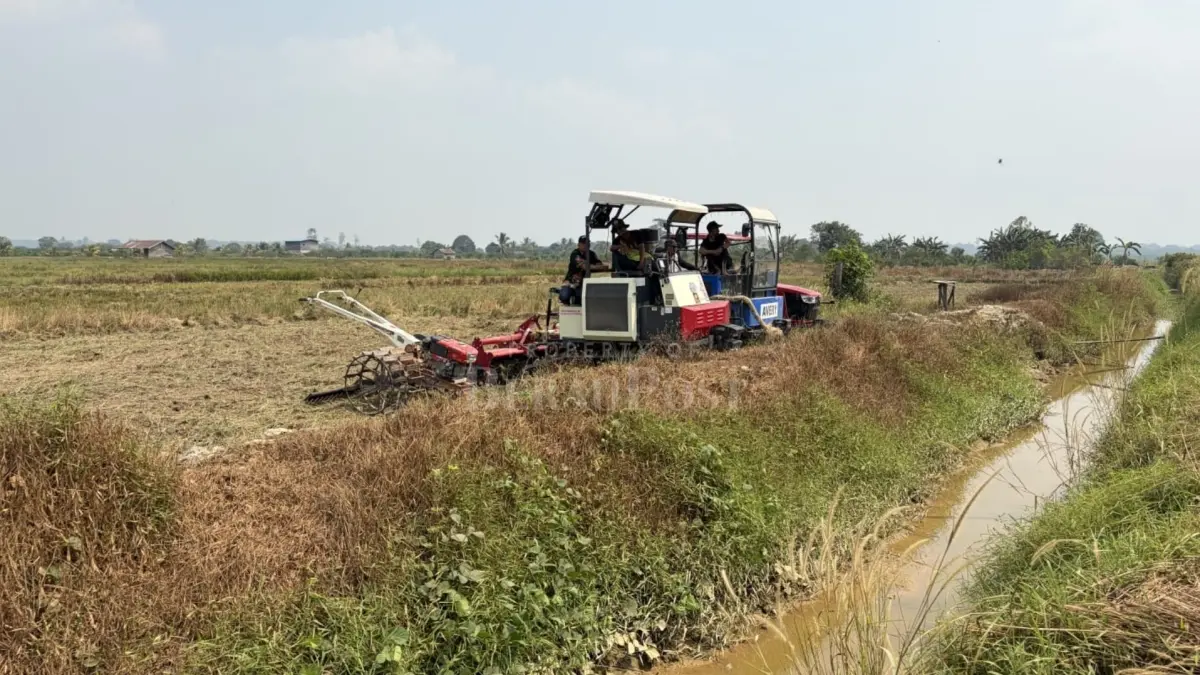 TINGKATKAN INFRASTRUKTUR: Pemkab Berau terus mendorong pembenahan jaringan irigasi di Labanan Jaya untuk mendukung produktivitas dan ketahanan pangan daerah. (IZZA/BP)
