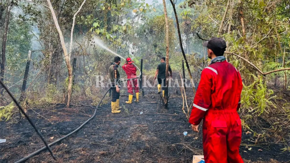 PERLAHAN MEMBAIK: Kabut asap diakibatkan dari Karhutla berangsur dapat diatasi dan kualitas udara di wilayah Tanjung Selor dalam kategori sedang. (HRK)