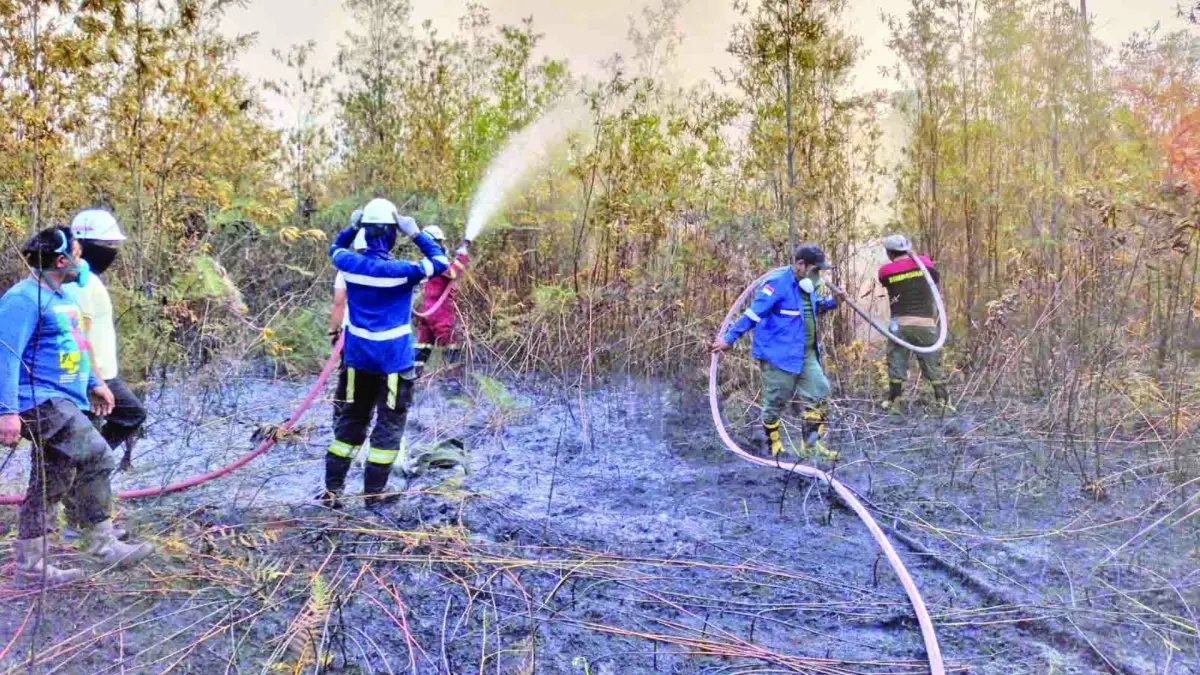 BERJIBAKU: Tim saat memadamkan api yang membakar lahan di salah satu wilayah di Kaltara. (DISHUT KALTARA/HRK)