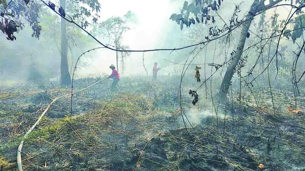 SULIT DIPADAMKAN: Petugas saat mencoba memadamkan api di atas permukaan tanah. Namun di lahan gambut, bara api sulit dipadamkan karena berkobar di bawah tanah. (DISHUT KALTARA/HRK)