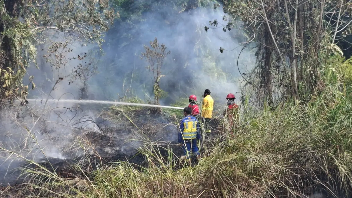 KARHUTLA: Petugas BWS Kalimantan V Tanjung Selor turut padamkan api karhutla belum lama ini. (BWS KALIMANTAN V UNTUK HRK)