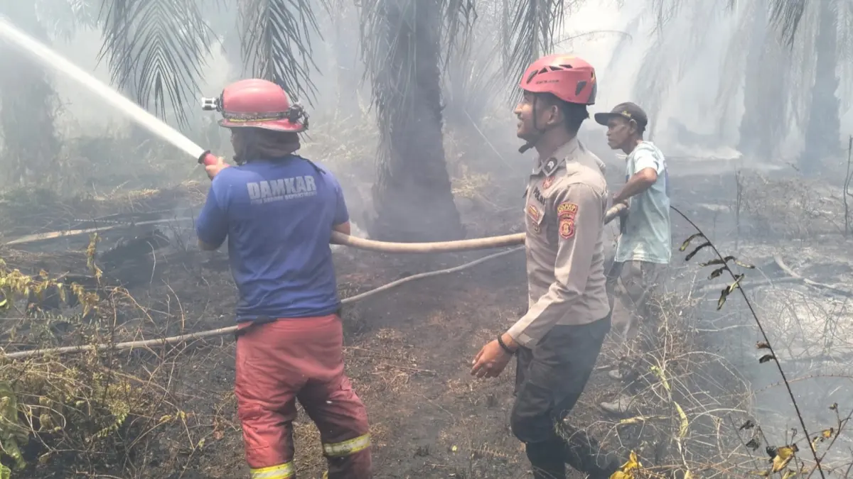 BERJIBAKU: Petugas gabungan terus berupaya memadamkan kobaran si jago merah yang masih melanda beberapa kawasan di Berau.