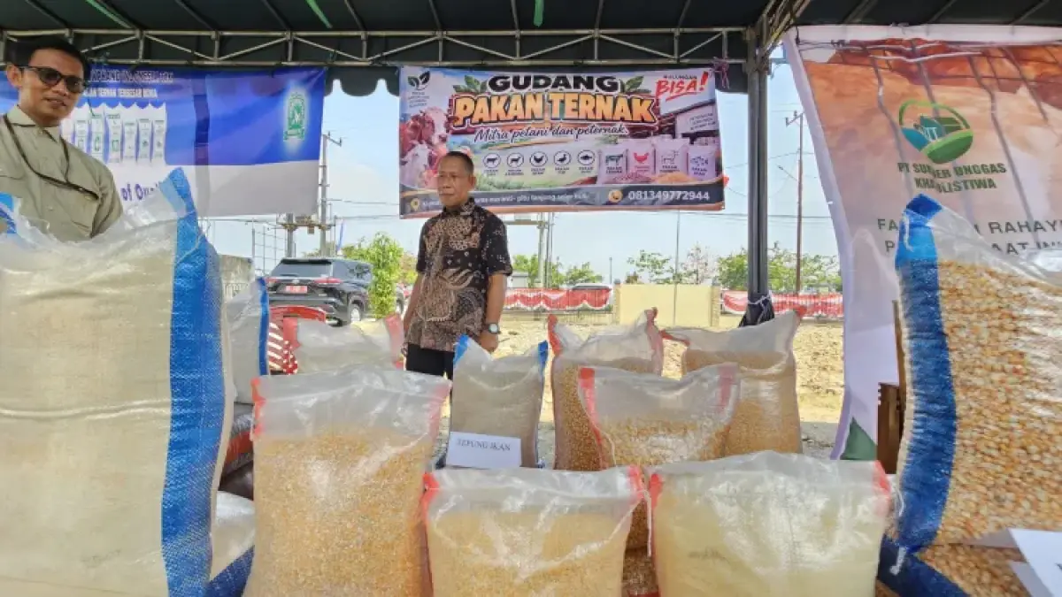 PETERNAKAN: Tantangan utama yang dihadapi peternak karena tingginya biaya pakan, yang menyedot hingga 40 persen dari total biaya produksi. (PEMKAB BULUNGAN)
