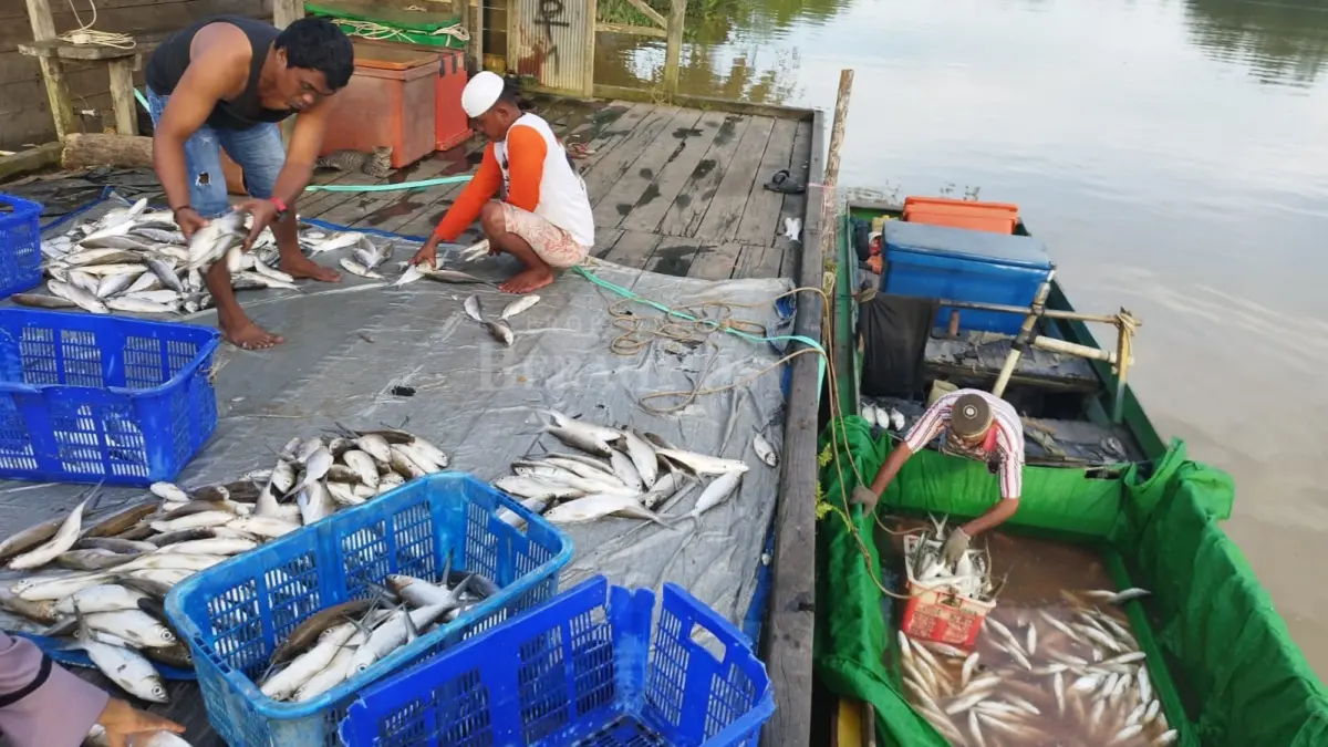 DUKUNG POTENSI PERIKANAN: Diskan optimalkan program KNMP yang masuk ke Berau, untuk dukung sektor perikanan Berau yang cukup baik. (SENO/BP)