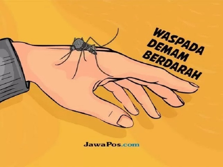 Ilustrasi demam berdarah.
