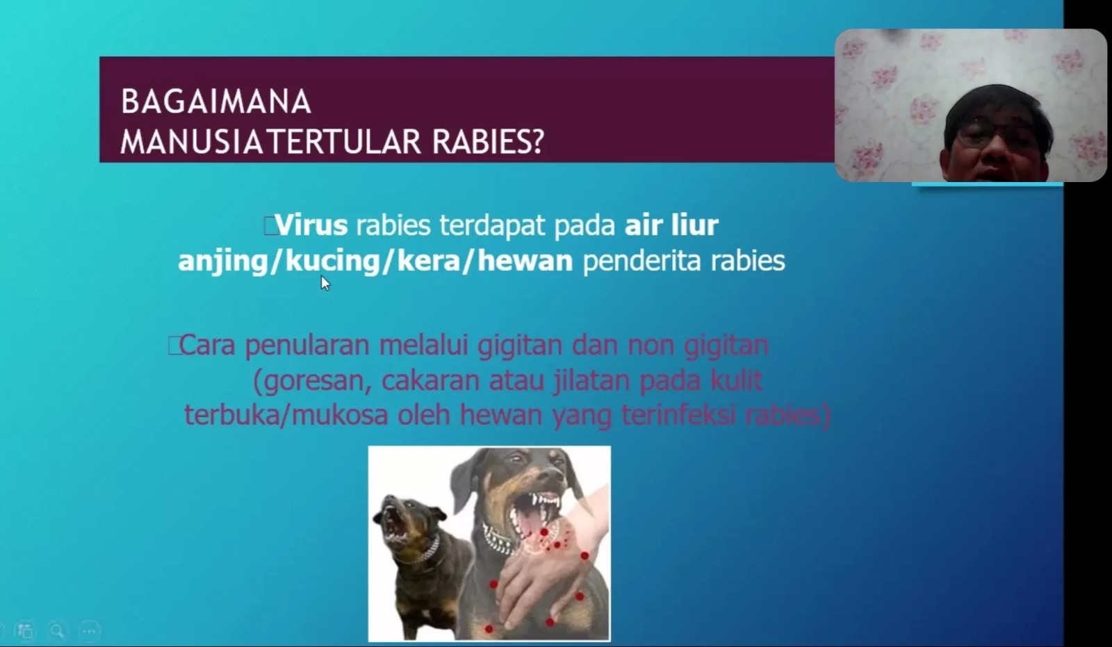 Jumpa pers daring IDAI menanggapi kasus rabies yang terjadi di Indonesia belakangan ini.