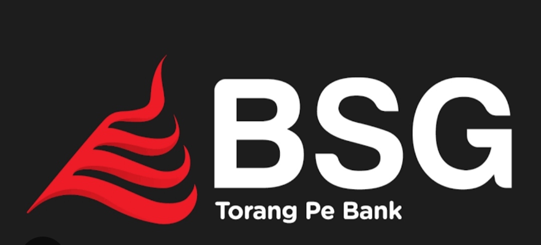 Logo BSG