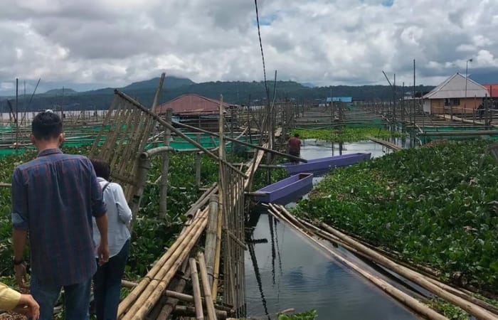 alah satu aktivitas di kawasan Danau Tondano, yang kedepan akan ditertibkan setelah Garis Sempadan Danau Tondano ditetapkan.